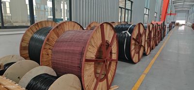 Shandong Jinyu Cable Co., Ltd. dây chuyền sản xuất của nhà sản xuất